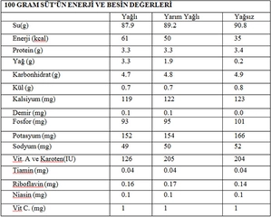 Besinlerin Protein Değerleri
